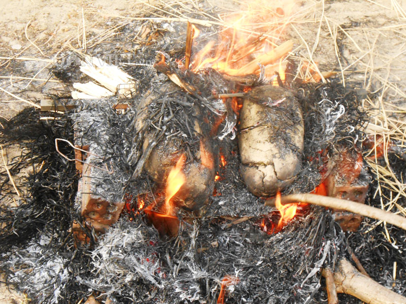 Nướng vịt làm cháy đồng, người nông dân phải bồi thường hơn 88 triệu 1