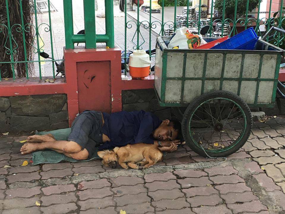 Nghẹn ngào hình ảnh chú chó nằm ngủ ngon lành bên người chủ nghèo trên vỉa hè sau những giờ mưu sinh vất vả 1