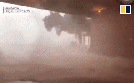 TQ: 'Vua bão' Mangkhut quật vỡ cửa sổ, đánh bật gốc cây, làm thương vong hàng trăm người