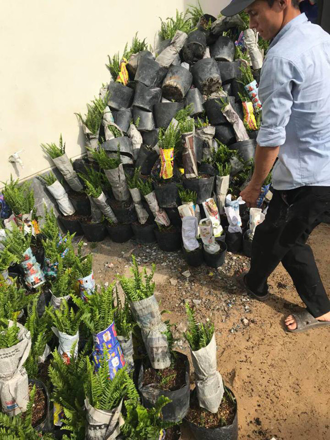 23 tuổi, Hương Tràm mua biệt thự rộng rãi, trồng hàng trăm cây xanh 3