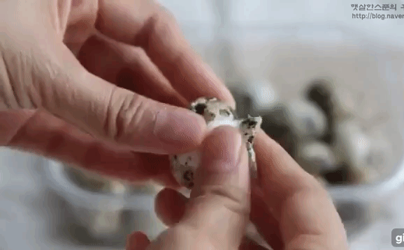 Chị em cứ đứng bóc trứng cút đến mỏi cả tay không xong nhưng tôi 'xử' hàng chục quả trong chốc lát nhờ 2 thứ gia vị quen thuộc này