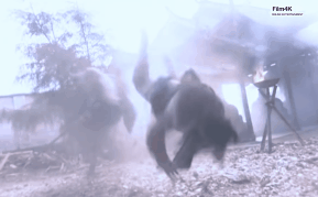 Võ sư Chưởng môn ở Việt Nam vén màn khả năng có thật của tuyệt kỹ võ công Dịch Cân Kinh