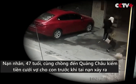 Tai bay vạ gió: Người phụ nữ bị liệt vì chó từ tầng 2 bất ngờ rơi trúng đầu