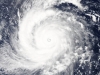Năm 2022 cảnh báo biển Đông sẽ đón từ 10 - 12 cơn bão, ATNĐ