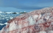 Giật mình cảnh tuyết 'chảy máu' ở Nam Cực, điềm báo ớn lạnh về tương lai Trái đất