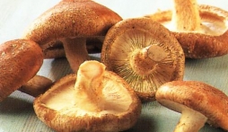 Những thực phẩm chống lại bệnh sởi nên bổ sung cho trẻ