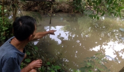 Bản tin 113 – sáng 3/9: Giận vợ, người cha tuổi teen ném con xuống ao…