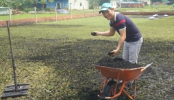 Kiếm 4 tỷ đồng mỗi năm nhờ trồng... cỏ