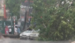 Bão số 3- bão Thần sét suy yếu thành áp thấp nhiệt đới