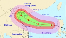 Bão Sarika - bão số 7 giật cấp 16 sẽ đổ bộ vào Việt Nam