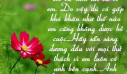 Những câu nói hay và ý nghĩa về tình yêu khiến cộng đồng mạng phát sốt