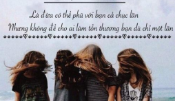 Những câu nói hay về tình bạn chân thành không thể bỏ qua