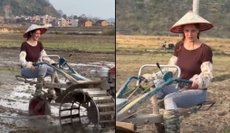 Video: Gái Tây lái máy cày 'củ nghệ', nhan sắc khiến cánh mày râu Việt Nam say như điếu đổ