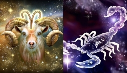 Tử vi 12 cung hoàng đạo tuần từ ngày 27/11 - 10/12