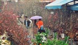 Tình hình thời tiết từ nay đến Tết Nguyên đán: Dự báo miền Bắc đón Tết ấm áp