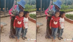 Video: Xúc động cảnh học sinh vùng cao dành tặng món quà cây nhà lá vườn cho cô giáo 