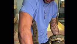 Video: Bị trăn khủng cắn liên tiếp vào tay, người đàn ông vẫn thể hiện thái độ khó tin