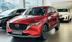  'Cửa tiền' 800 triệu, 4 mẫu ô tô vừa tiết kiệm xăng lại đi 'cực chất'