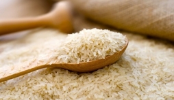 Giá lúa gạo hôm nay 18/11: Xu hướng biến động trái chiều
