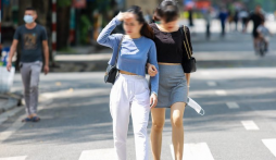 Đáp án gợi ý mã đề 203 môn Sinh học kỳ thi tốt nghiệp THPT 2020