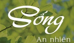 50+ stt an nhiên về cuộc sống, thổi bùng làn gió mát lành cho tâm hồn