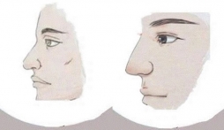 3 tướng mũi tốt ở cả nam và nữ nhiều người ao ước: Đàn ông tài trí, phụ nữ tài năng