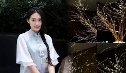 Loại hoa Tết được Doãn Hải My mua trước cả tháng trưng bày trong nhà