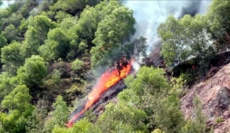 Cháy rừng tại Nghệ An nghi do đốt vàng mã cúng rằm tháng 7