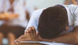 Vụ thí sinh ngủ quên bị 0 điểm tiếng Anh tốt nghiệp THPT: Sở GD-ĐT Cà Mau nói gì?