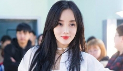 Lộ diện tình trẻ kém 12 tuổi của Lý Tiểu Lộ, vợ cũ tài tử Giả Nãi Lượng