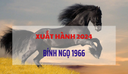Xem ngày giờ xuất hành tết Giáp Thìn 2024 cho gia chủ tuổi Bính Ngọ 1966