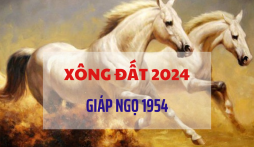 Xem tuổi xông đất 2024 cho gia chủ tuổi Giáp Ngọ 1954 