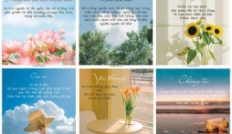 Trọn bộ stt thả thính ngày 20/10 cực ngọt ngào dành cho crush