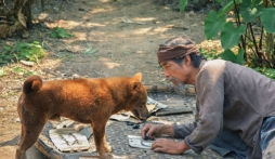 Shiba Nhật không được lòng khán giả Việt, phim 'Cậu Vàng' lỗ nặng phải rút khỏi các phòng chiếu 