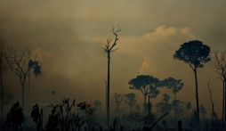 Cháy rừng tiếp tục, Amazon biến thành 'cổng địa ngục'