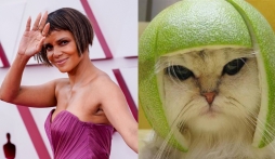 Kiểu tóc 'gặm nhấm' của Halle Berry tại thảm đỏ Oscar 2021 bị dân tình chế ảnh đầy hài hước.