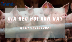 Giá heo hơi hôm nay 15/10: Tăng giảm không đều