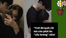 Đây là cách đơn giản giúp bạn phá 'lời nguyền' FA, 100% noel năm sau không phải ăn 'cơm chó'