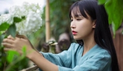 Không cần tiền, Lý Tử Thất kiên quyết kiện tụng vì nguyên nhân này