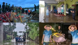 CHÙM ẢNH Nghệ An: Trắng đêm gồng mình cứu đê, tìm thấy 2 vợ chồng bị lũ cuốn