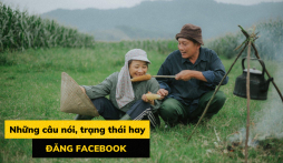 Những câu nói hay về cuộc sống, tình yêu