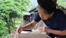 Xuân về trên thớ giấy bản vùng cao