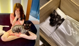 Vợ chồng Trấn Thành - Hari Won đau lòng vì thú cưng qua đời