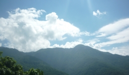 Đi Tam Đảo để hít hà hương thảo mộc