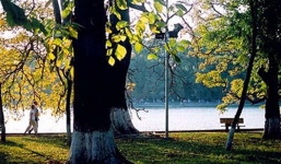 Thời tiết và cảnh báo ngày 2/1: Miền Bắc nắng ấm