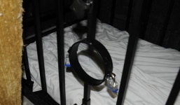 Bé trai bị tra tấn đến chết vì ăn trộm gói bánh quy