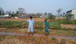 Chàng trai 29 tuổi người Hà Tây (cũ), kiếm 9 tỷ/năm