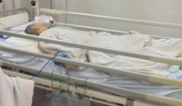 Cô gái cắt chân mẹ thành 3 khúc vừa tốt nghiệp ĐH Ngoại Thương