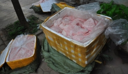 Hơn 1 tấn nội tạng ôi thối bị bắt giữ