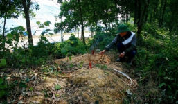 Những hài nhi bị vứt bỏ ở bãi rác Nam Sơn